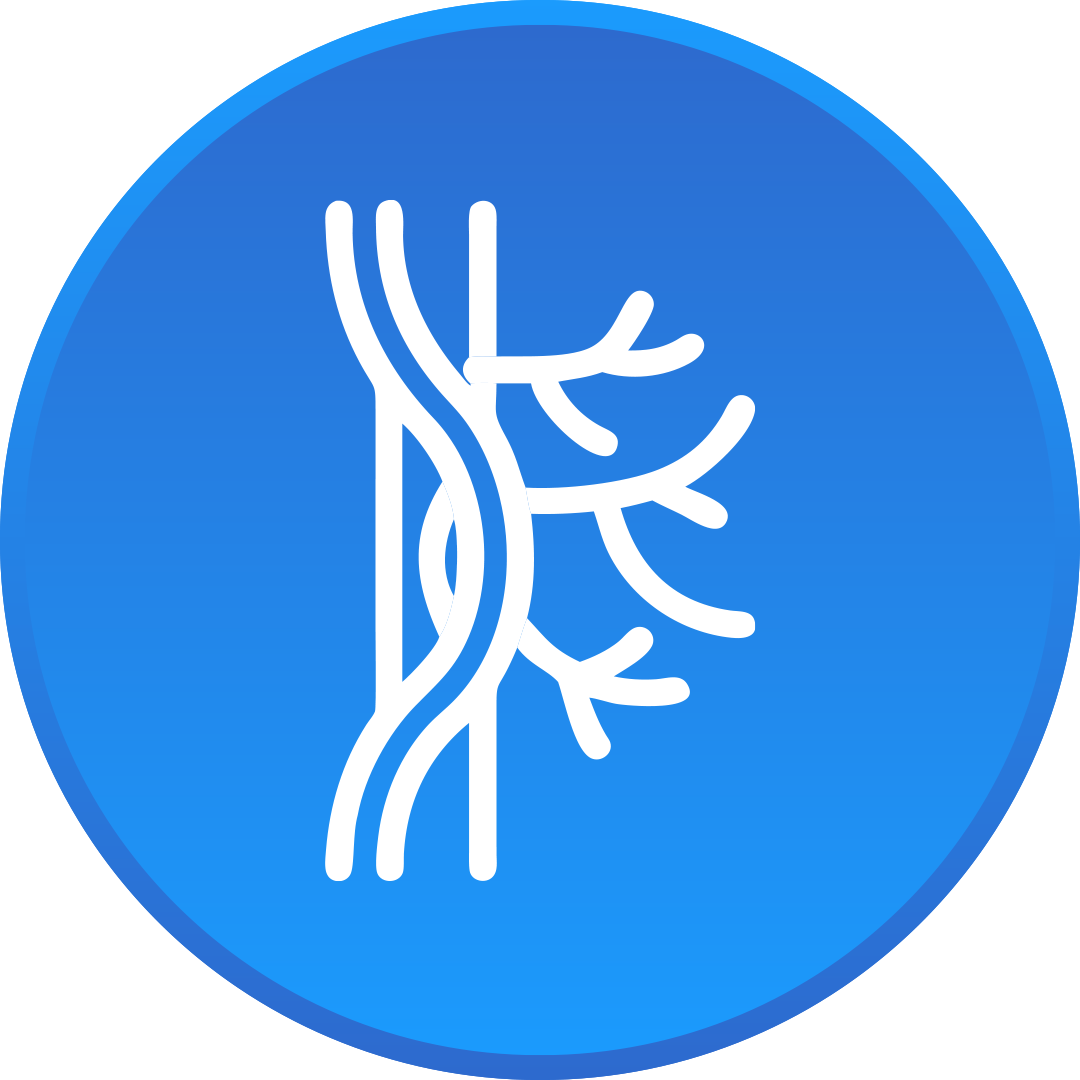 Bifurkasyon (Çatallı Damar) Tıkanıklığı