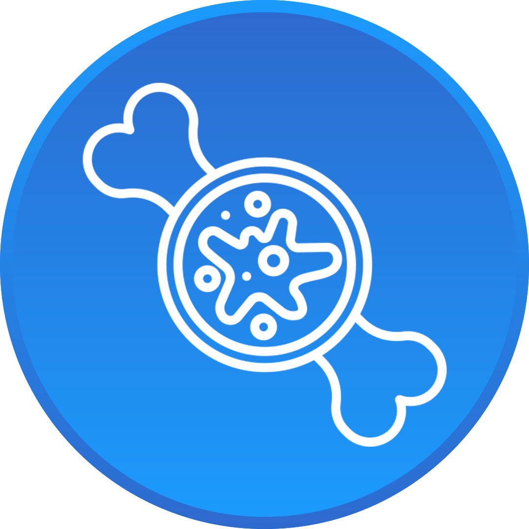 Kemik İliği Kanseri