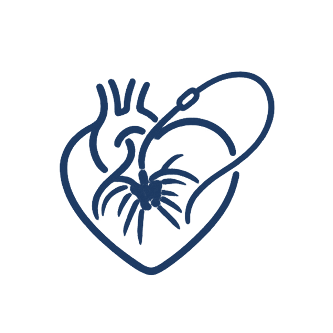 TriClip (Ameliyatsız Triküspit Kapak Yetmezliği Tedavisi) 