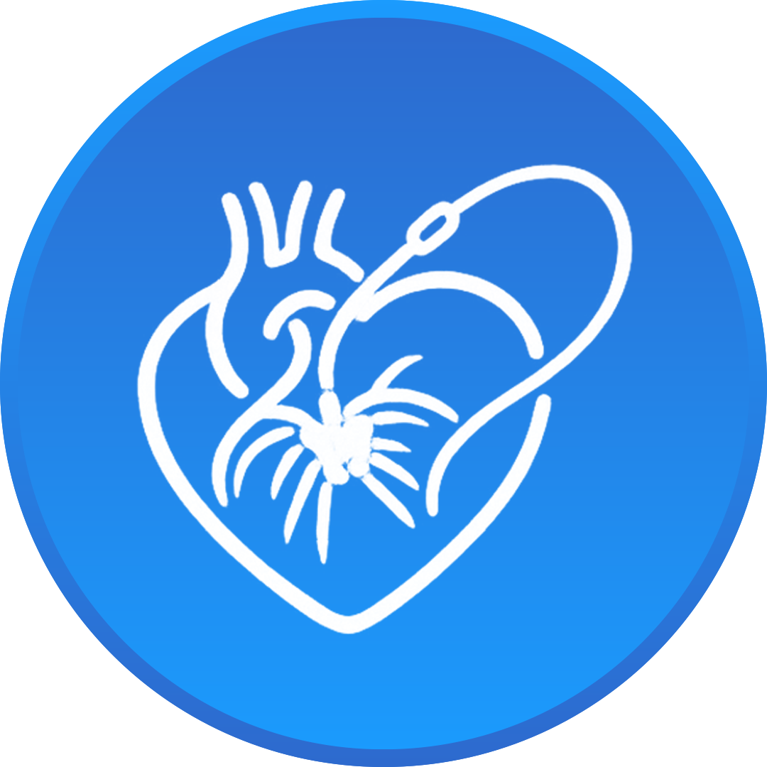 Fetal Ekokardiyografi 