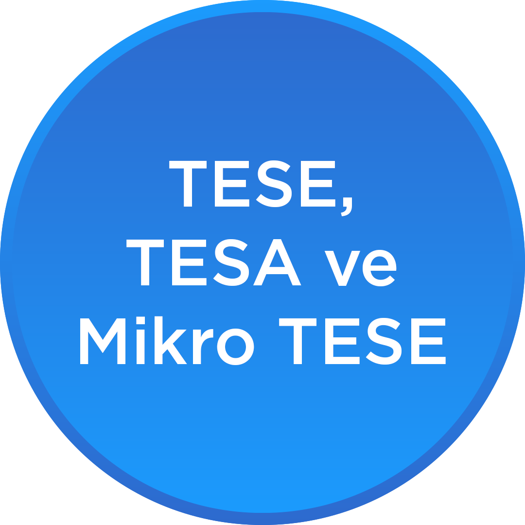 TESE, TESA ve Mikro TESE