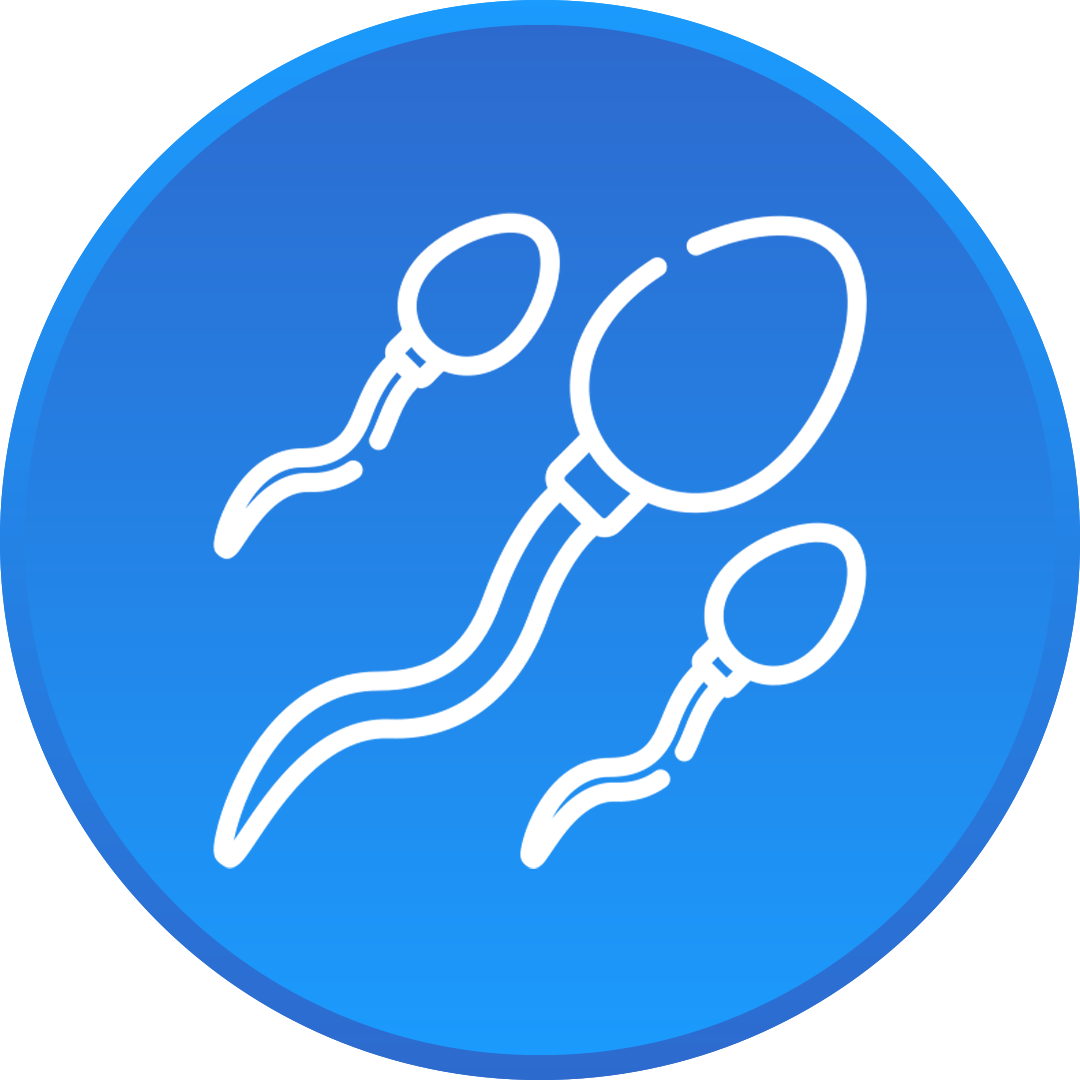Sperm Sayısı ve Hareketliliği 