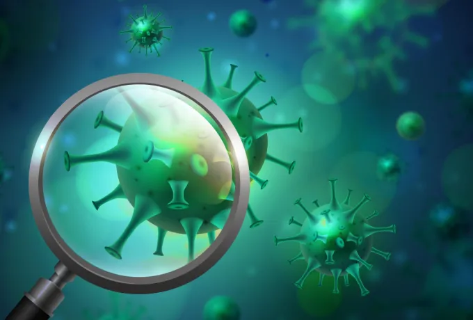 Chikungunya virüsü