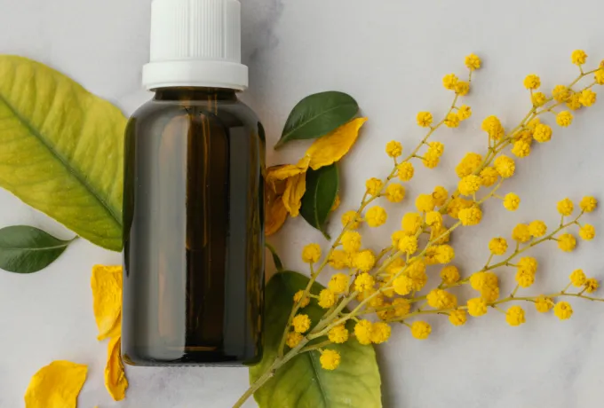 Sarı kantaron yağı