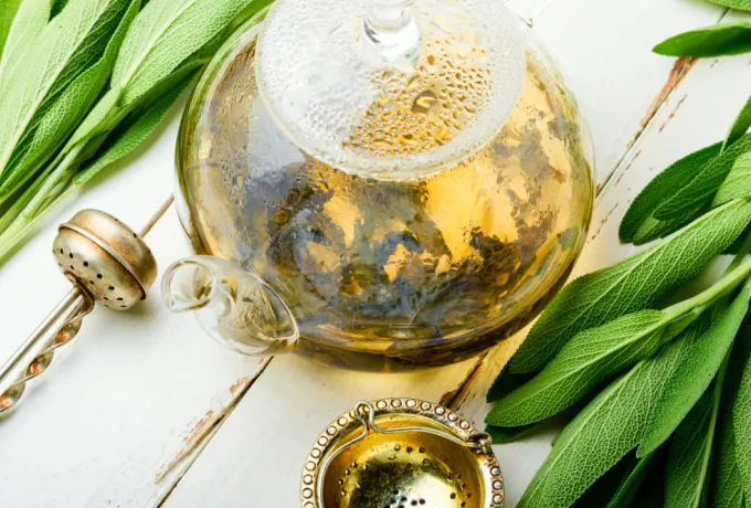 Adaçayı Faydaları Nelerdir