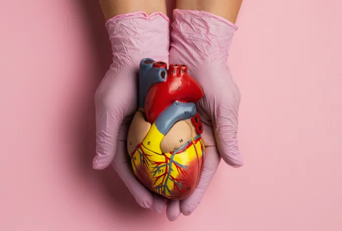 Kalp hastalıkları