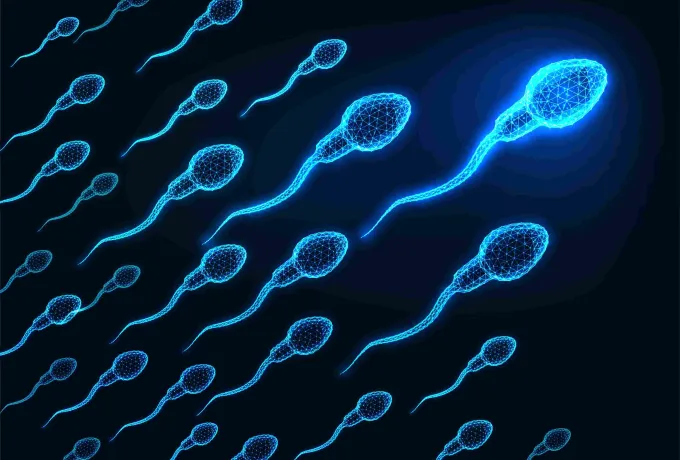 sperm-testi-nedir