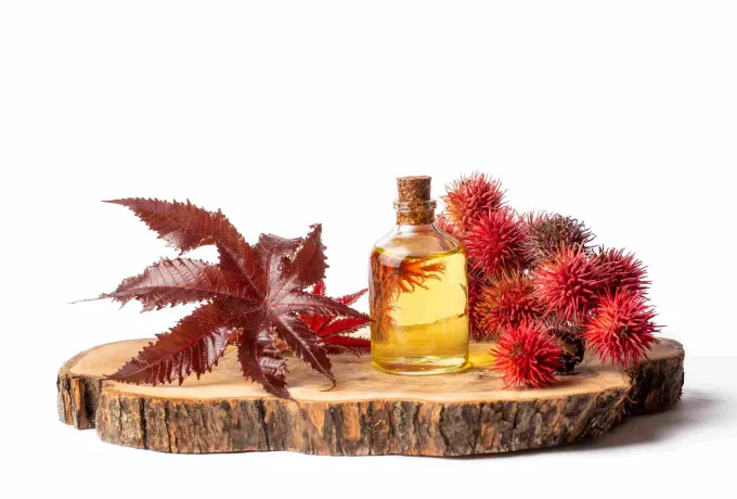 hint-yaginin-faydalari