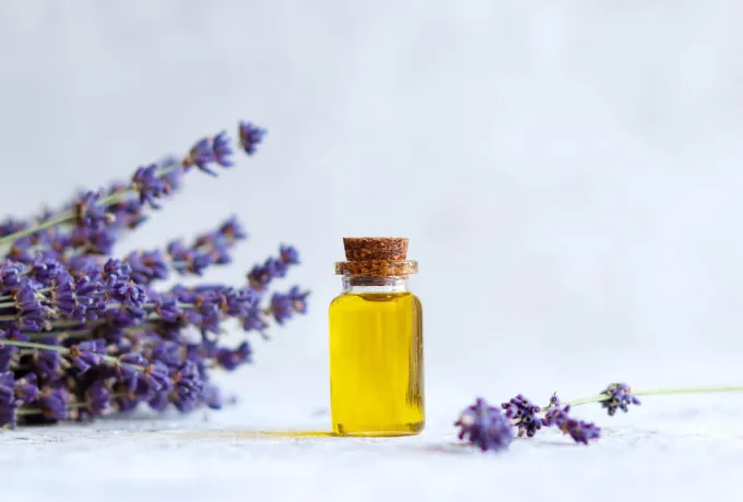 lavanta yağı faydaları