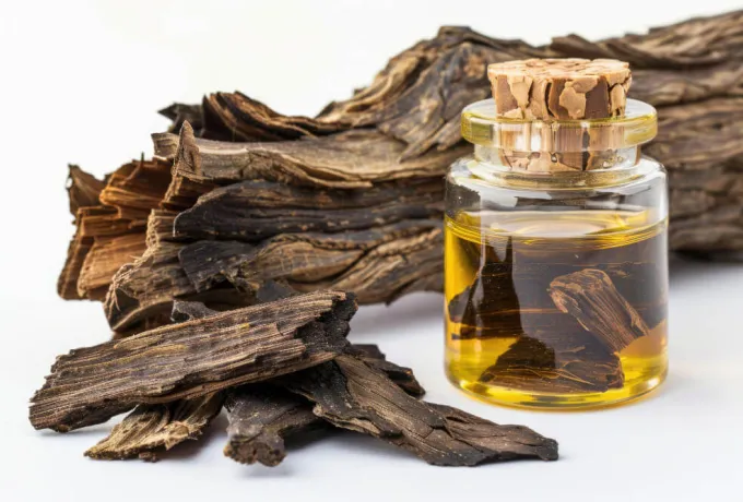 udi hindi yağının faydaları