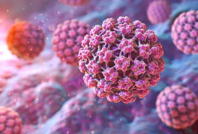 HPV İnsan Papilloma Virüsü Nedir