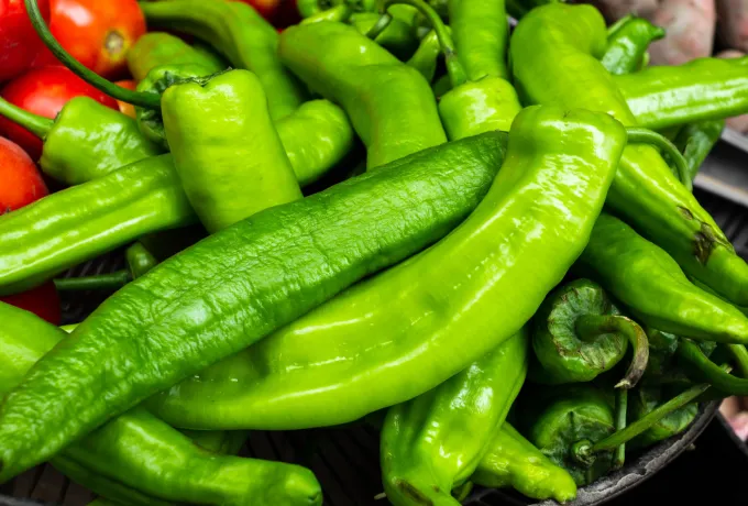 Yeşil biber