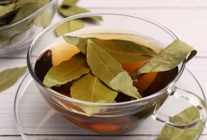 defne yaprağı çayı faydaları