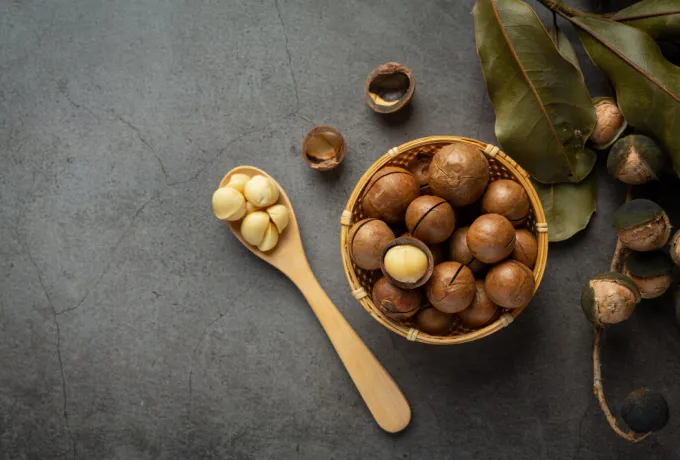Macadamia (Makademya) Fındığı Nedir, Faydaları Nelerdir?