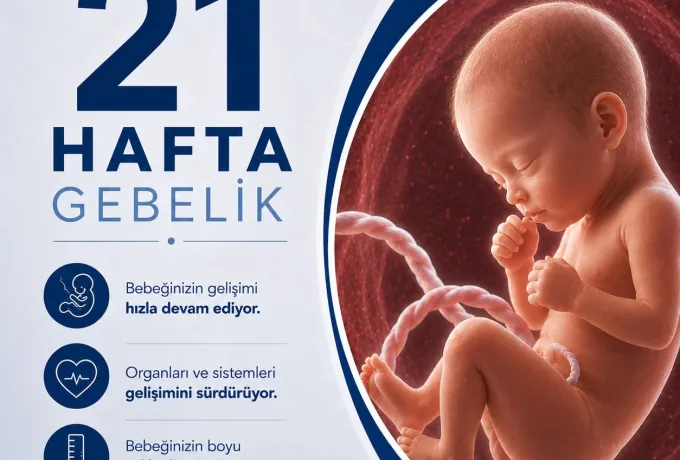 21 Hafta Gebelik