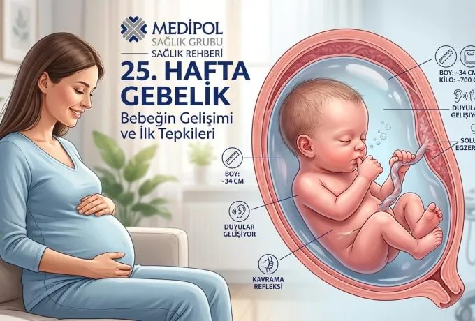25 hafta gebelik