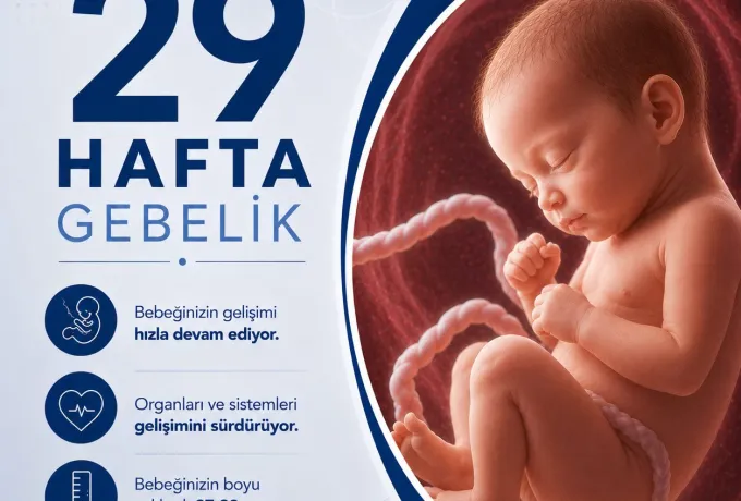 29 Hafta Gebelik 