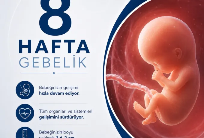 8 haftalık gebelik