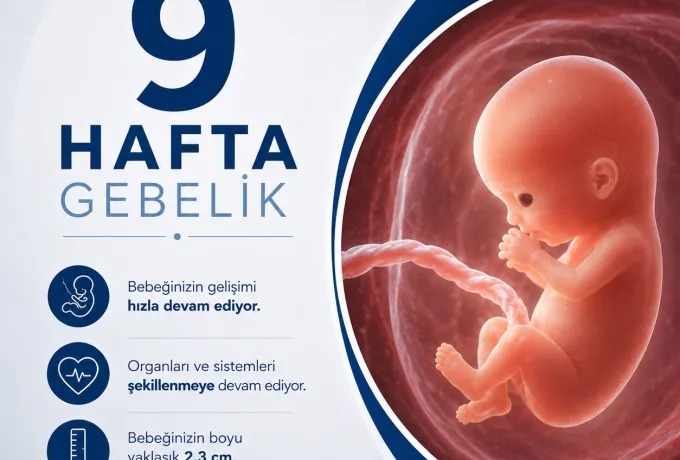 9 Hafta Gebelik
