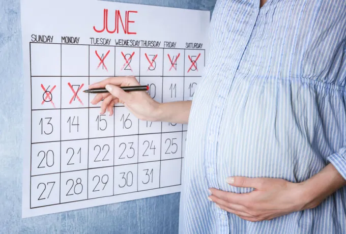 trimester nedir