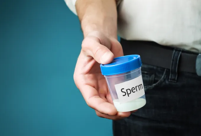 casa sperm testi