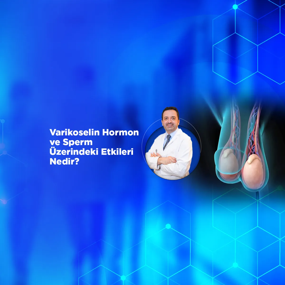 Varikoselin Hormon ve Sperm Üzerindeki Etkileri Nedir?