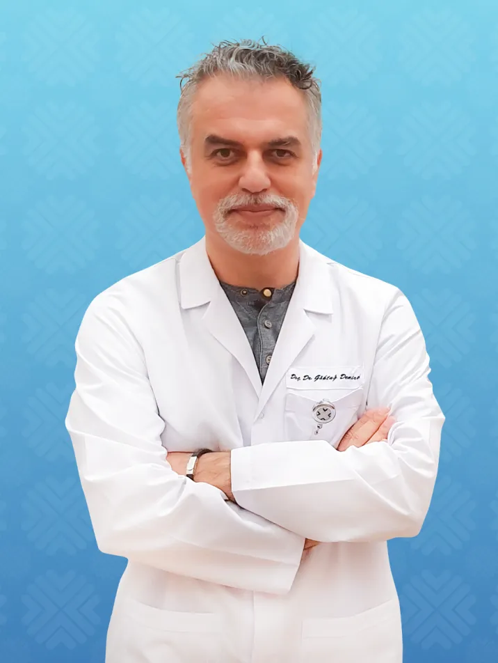 GÖKTUĞ DEMİRCİ