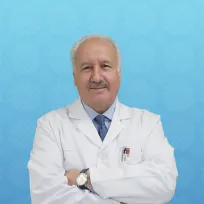 MEHMET GÜNDÜZ MEHMET GÜNDÜZ