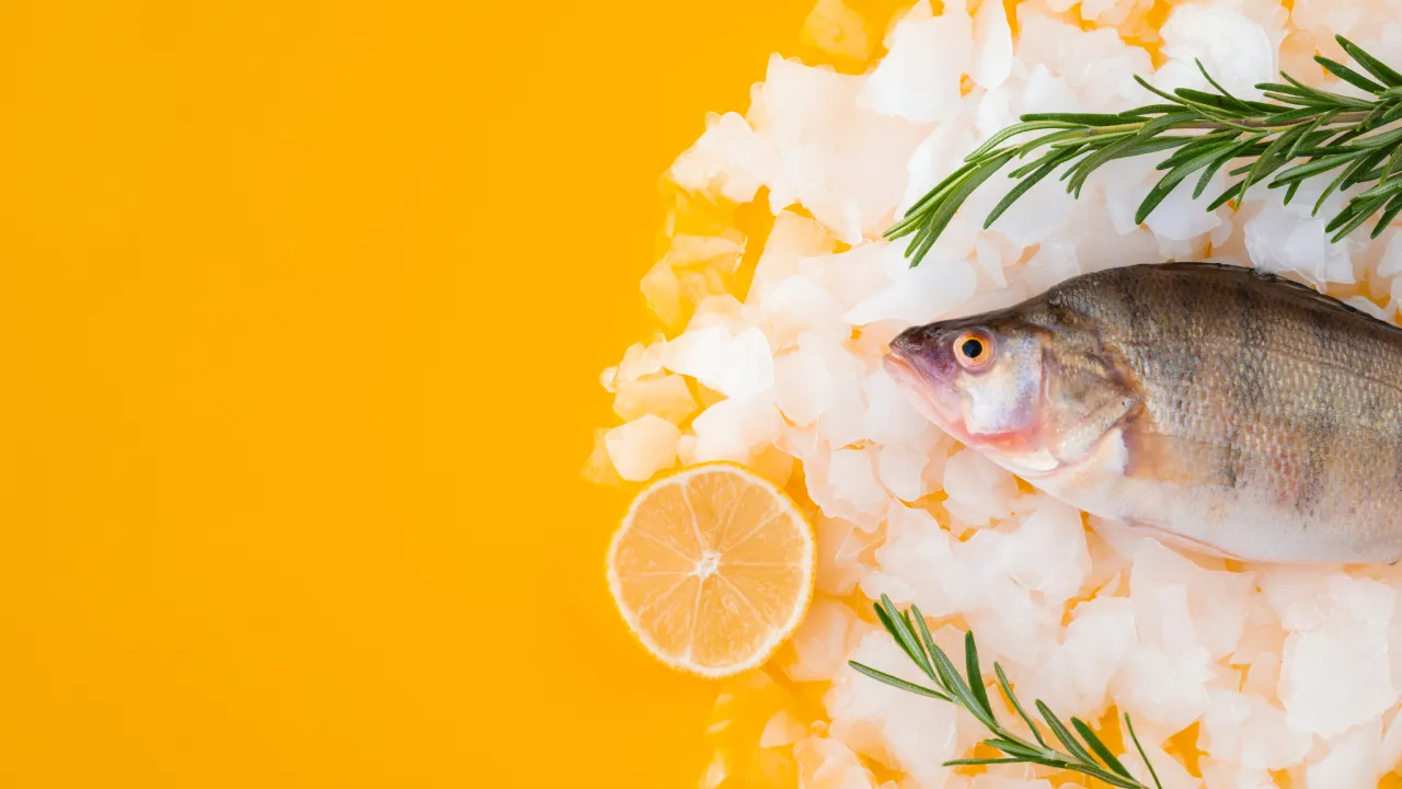 Balık Omega-3 yağ asidinin bulunduğu ana üründür.