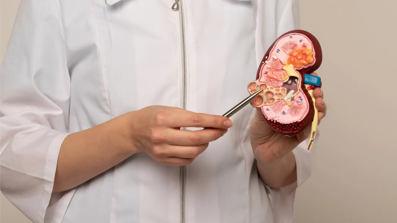 Renal Denervasyon