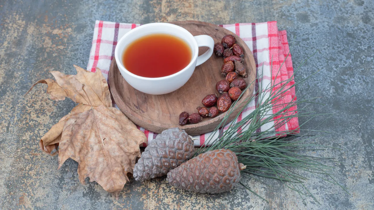 Kozalak şurubu