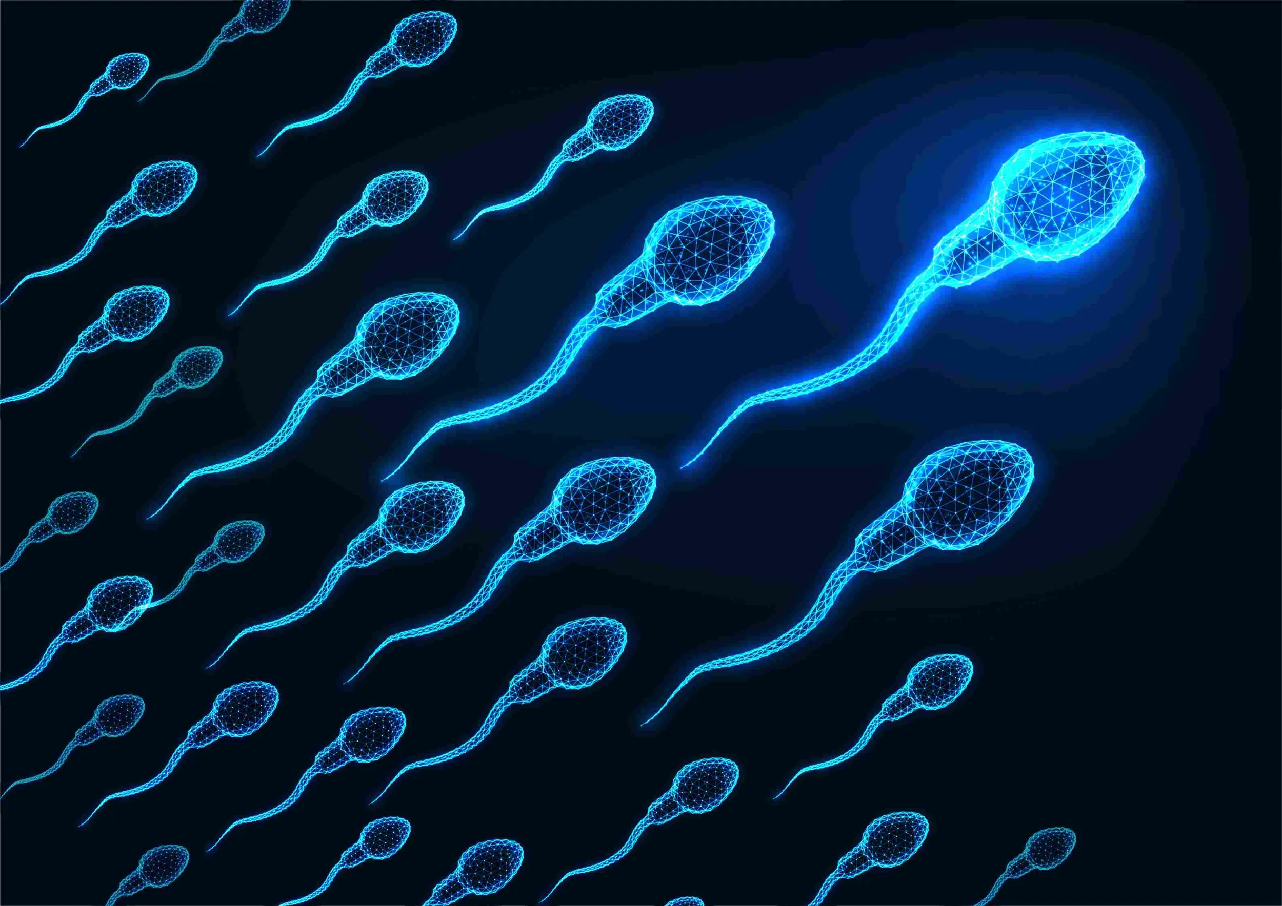 sperm-testi-nedir