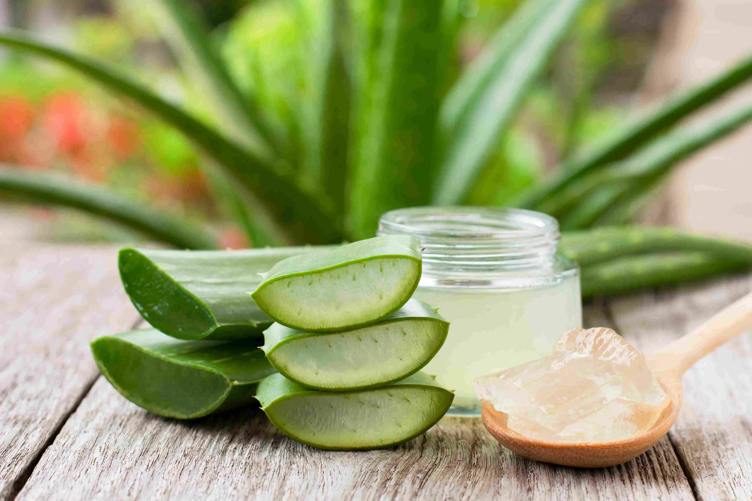 aloe-vera-jel