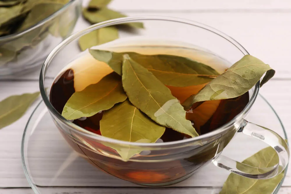 defne yaprağı çayı faydaları