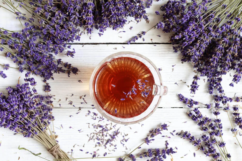 lavanta çayı faydaları