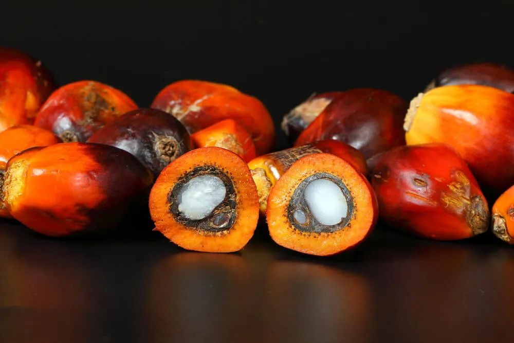 batana yağı faydaları