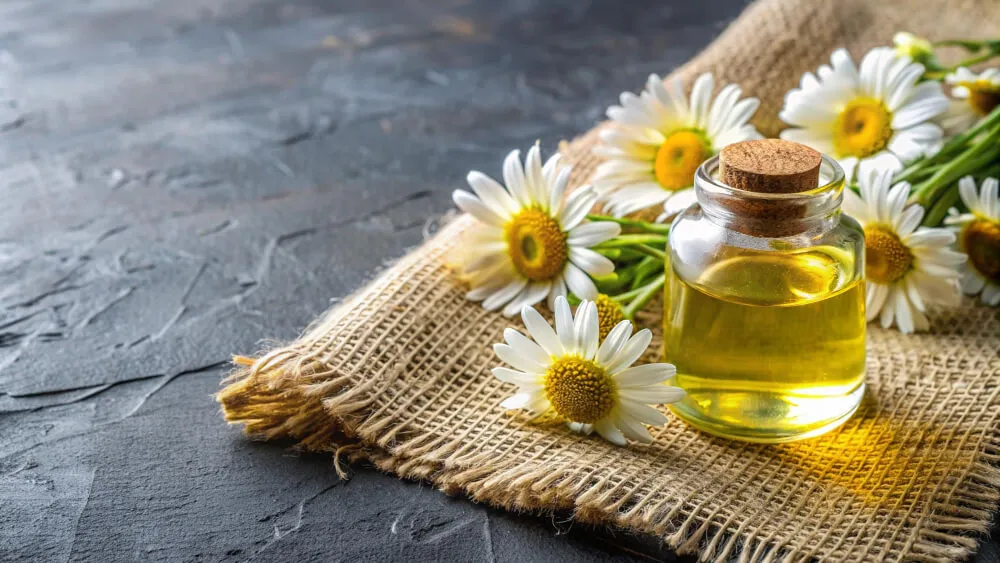 papatya yağı faydaları