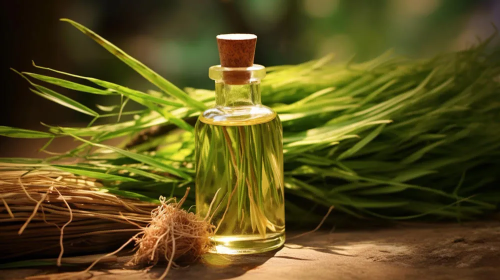 vetiver yağı nedir