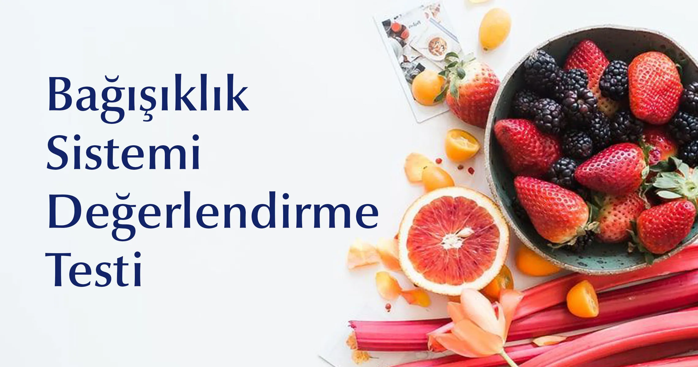 Bağışıklık Sistemi Değerlendirme Testi