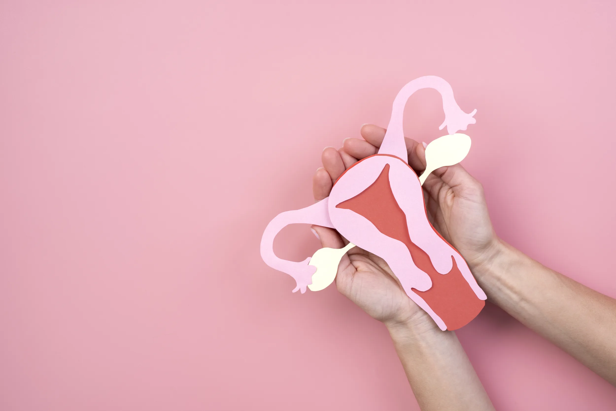 Vulva Kanseri Nedir? Vulva Kanseri Belirtileri ve Tedavi Yöntemleri Nelerdir?