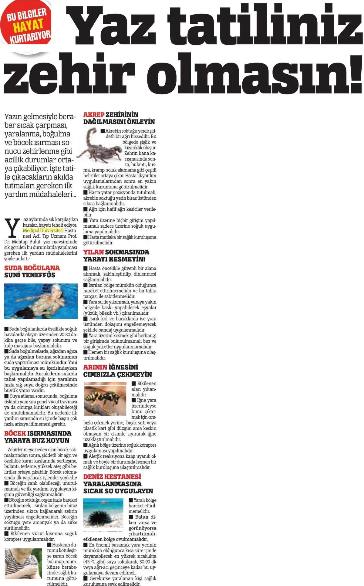 Yaz tatiliniz zehir olmasın! Hayat Kurtaran Bilgiler!