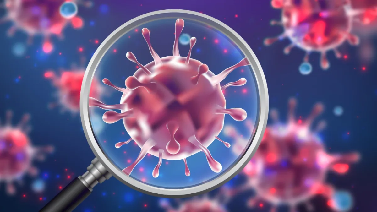 Norovirus