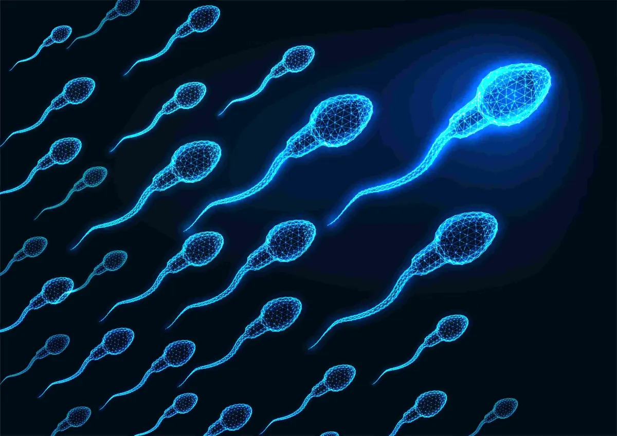 sperm-testi-nedir