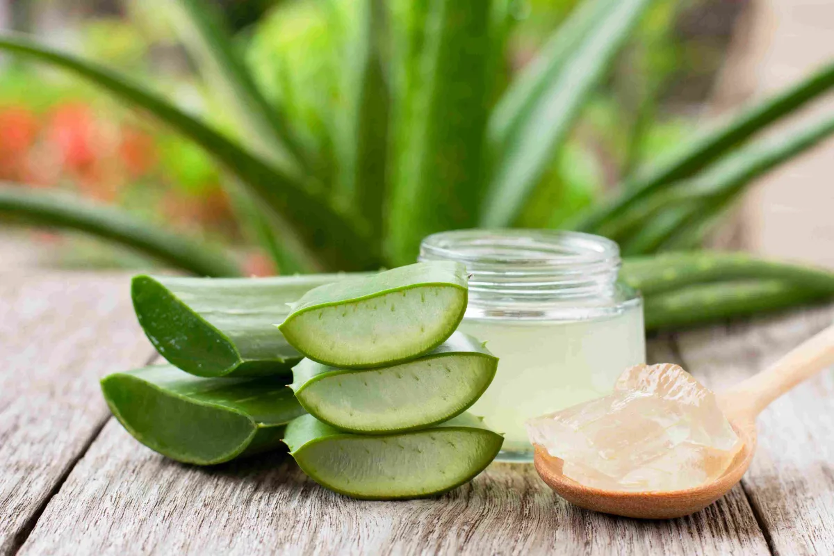 aloe-vera-jel