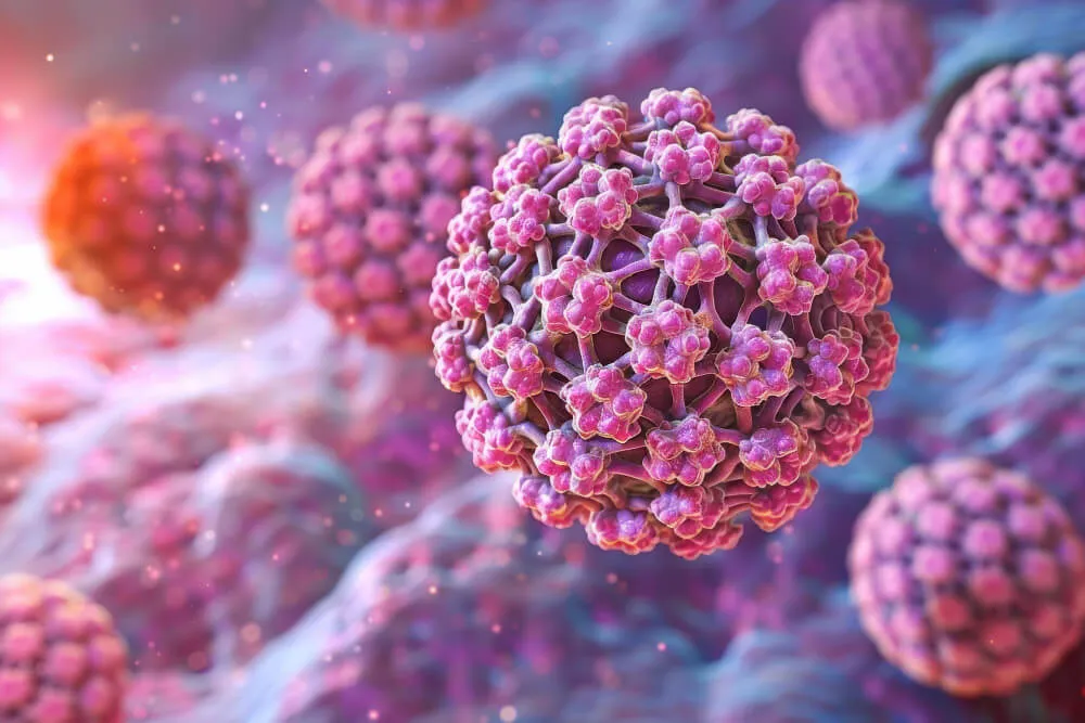 HPV İnsan Papilloma Virüsü Nedir