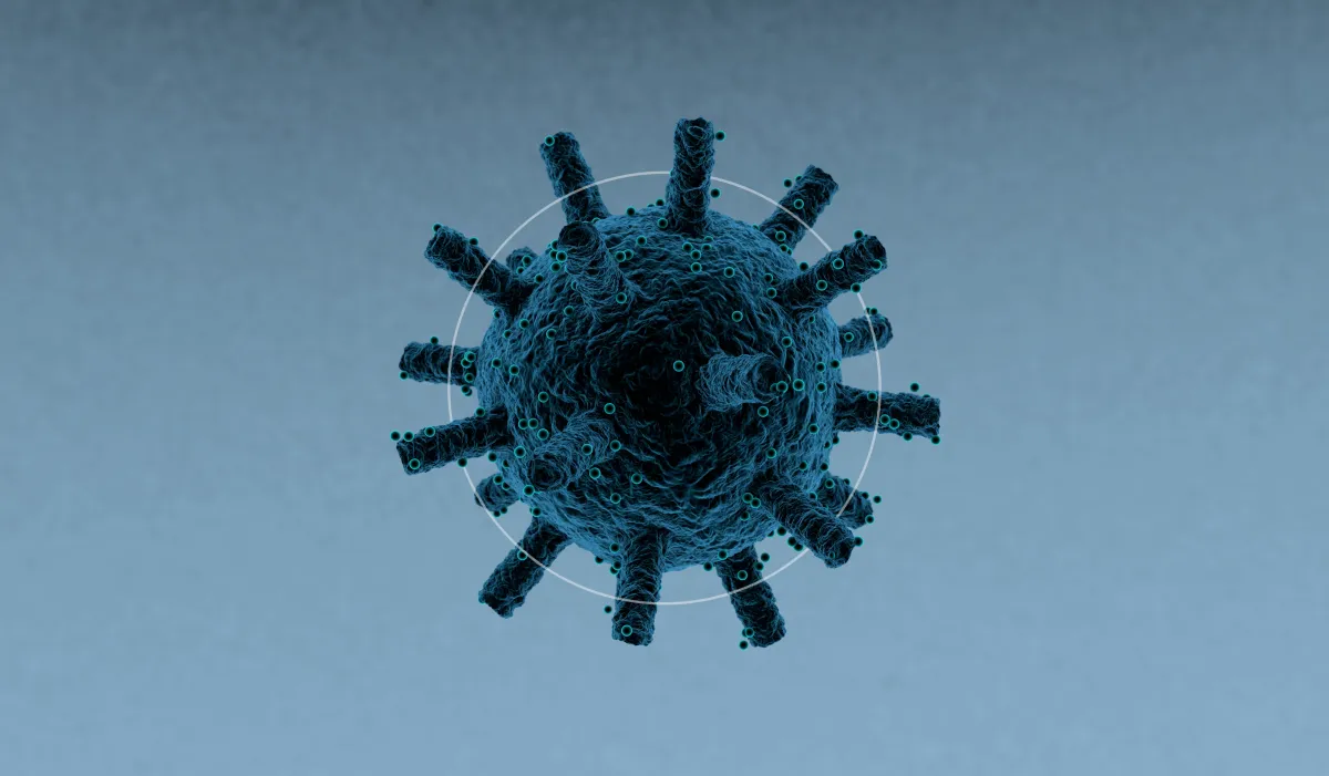 Nipah virüs