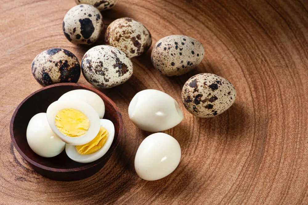 bıldırcın yumurtası faydaları