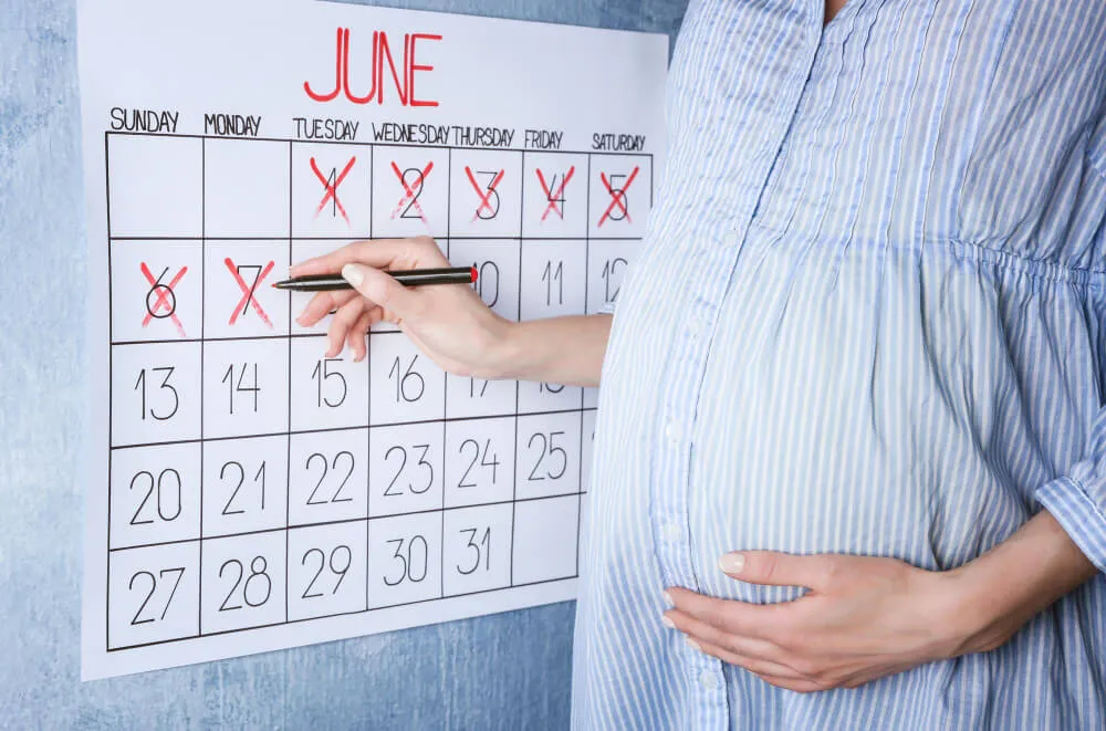 trimester nedir