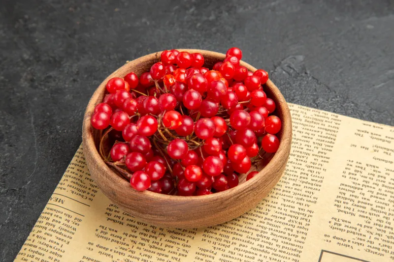Turna yemişi (cranberry)