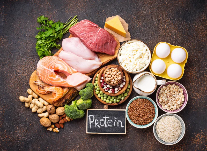 Protein kaynağı besinler